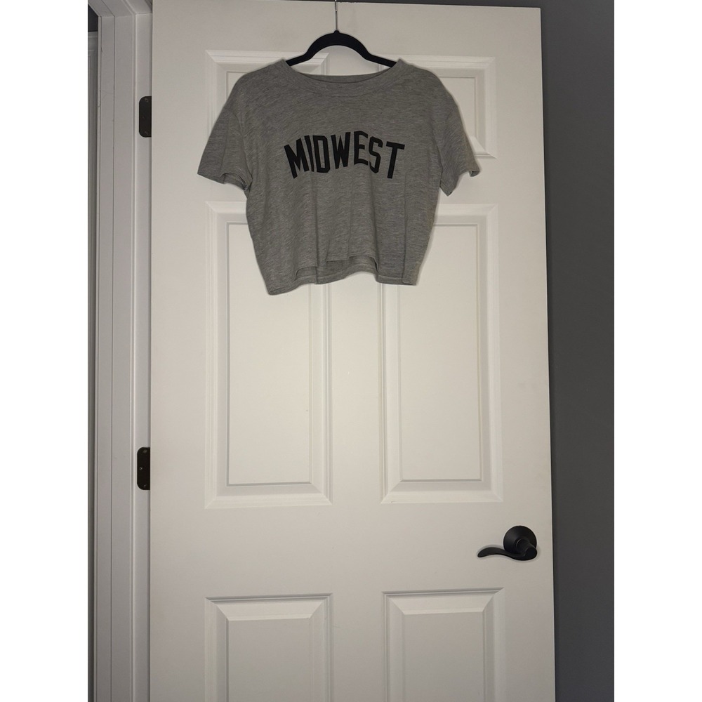 Unbranded Midwest Cropped T Shirt Small Gray